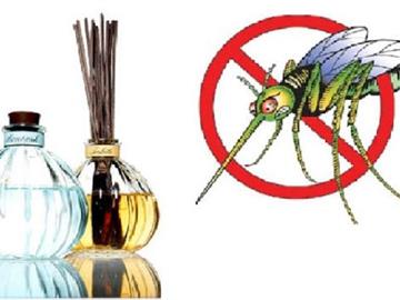 Biện pháp chống muỗi đốt an toàn tại nhà