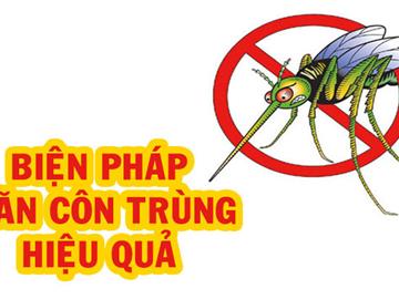 Biện pháp ngăn côn trùng muỗi hiệu quả nhất tại tphcm