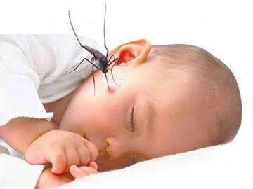 Các cách chống muỗi cho bé
